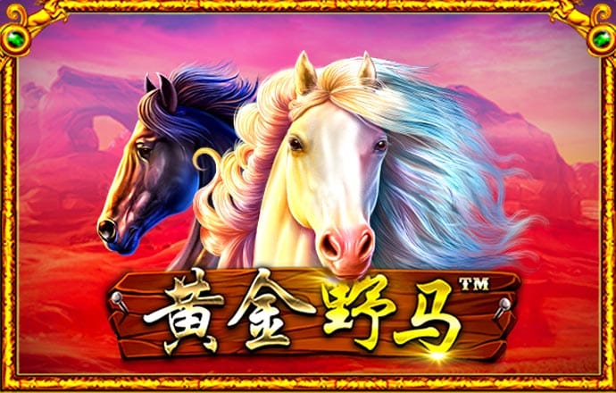 6688体育app最新版版本